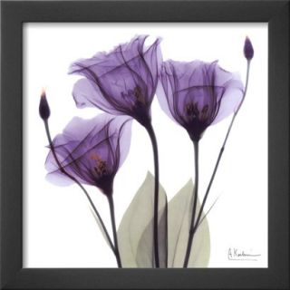 Art   Royal Purple Gentian Trio Framed Print