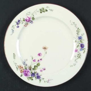 Hutschenreuther Hut1256 (Ivory) Dinner Plate, Fine China Dinnerware   Rose And F