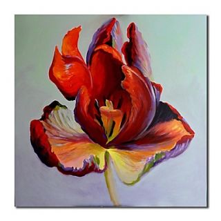 Hand Painted Oil Painting Floral Single Red Flower with Stretched Frame