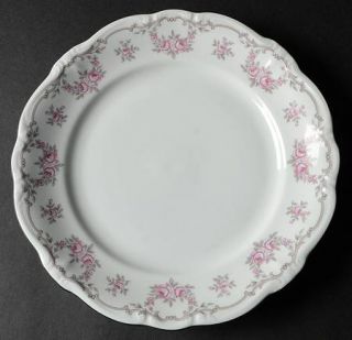 Johann Haviland Petit Point Dinner Plate, Fine China Dinnerware   Pompadour Shap
