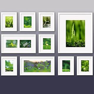 White Photo Wall Frame Collection   Set of 10