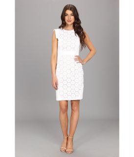 Adrianna Papell Eyelet Cotton Lace Sheath Womens Dress (White)