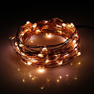 5M 50 LED Warm White Copper Wire String Fairy Light with AC Adapter Set (100 240V)
