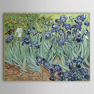 Famous Oil Painting Irises by Van Gogh