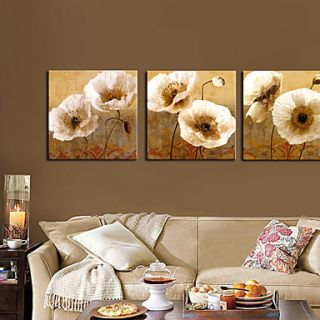 Stretched Canvas Art Floral Popies Set of 3