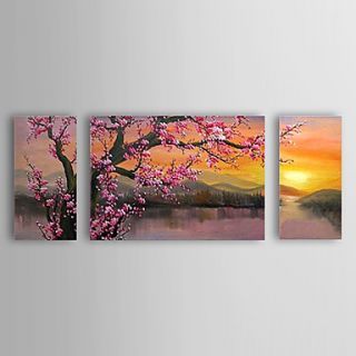 Hand Painted Oil Painting Floral Plum Flowers Set of 3 with Stretched Frame 1307 FL0156