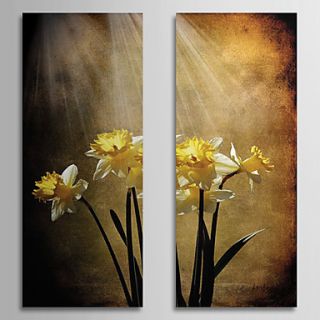 Hand Painted Oil Painting Floral Sunshine with Stretched Frame Set of 2 1309C FL0838