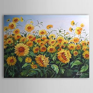 Hand Painted Oil Painting Floral Sunflowers with Stretched Frame 1307 FL0161
