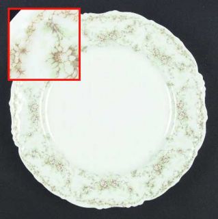 Bawo & Dotter Bwd2 Dinner Plate, Fine China Dinnerware   White &Green Flowers Gr