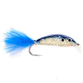 Gulley Fish, Blue