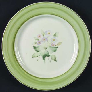 Thomson Seasons Dinner Plate, Fine China Dinnerware   Green Rim,Floral Motif,Gre