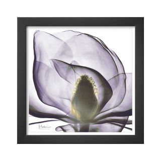 ART Precious Orchid in Purple Close Framed Print Wall Art