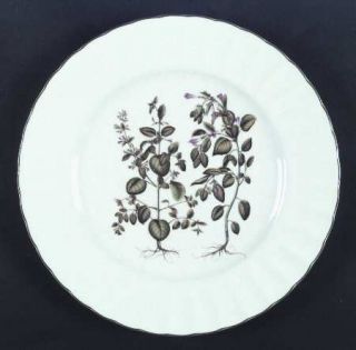 Mikasa Botany Dinner Plate, Fine China Dinnerware   Ultra Ceram,Various Flowers