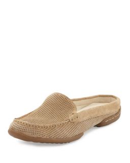 Veni Perforated Suede Slide, Sand