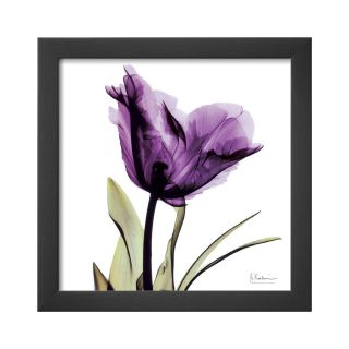 ART Royal Purple Parrot Tulip Framed Print Wall Art