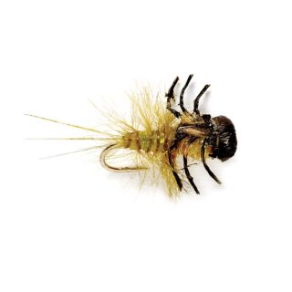 Oe March Brown Nymph, 10