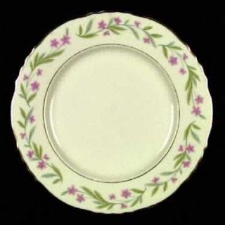 Syracuse Chester Dinner Plate, Fine China Dinnerware   Pink/Green Floral Band,Sc