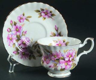 Royal Albert Wild Rose Footed Cup & Saucer Set, Fine China Dinnerware   Montrose