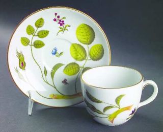 Royal Worcester Blind Earl (No Raised Design) Flat Cup & Saucer Set, Fine China