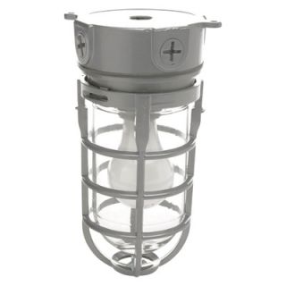 Designers Edge Weathertight Ceiling Mount Barn Light   120 Volt, Model# L 1706