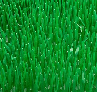 Green Tissue Grass