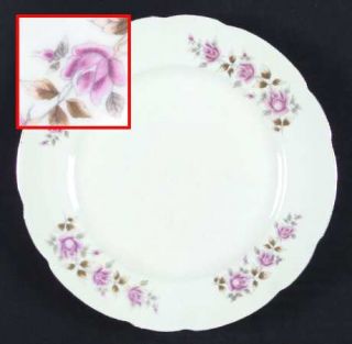 Embassy (Poland) Bella Rose Salad Plate, Fine China Dinnerware   Cmielow, Roses