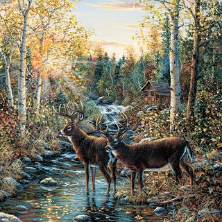 Brewster Wild Deer Wall Mural (SmallSubject LandscapesImage dimensions 72 inches x 72 inchesOutside dimensions 72 inches x 72 inches )