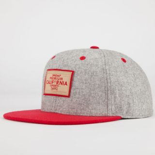 Family Picnic Mens Snapback Hat Heather Grey One Size For Men 226907130