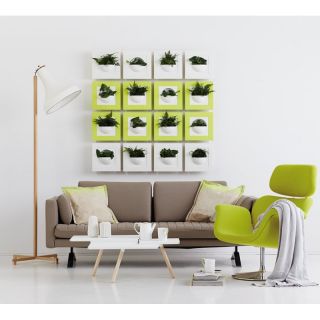 Exaco Green Gallery Wall Planter   GREENGALLERY DOUBLE