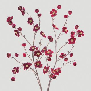 Burgundy Velvet Plum Blossoms, Set of 2   World Market