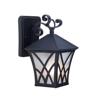 Black Transitional One light Outdoor Wall Fixture
