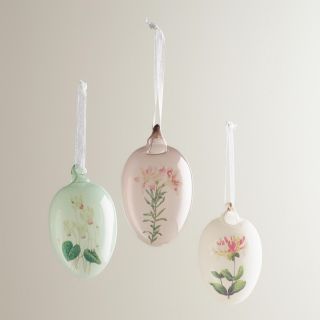 Glass Botanical Egg Ornaments, Set of 3   World Market